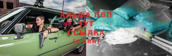 индика Беломорск