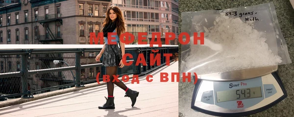 индика Беломорск