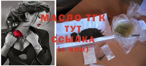 индика Беломорск