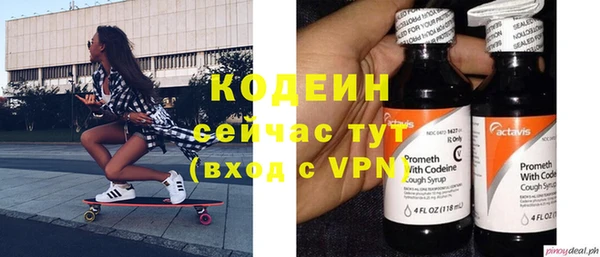 индика Беломорск