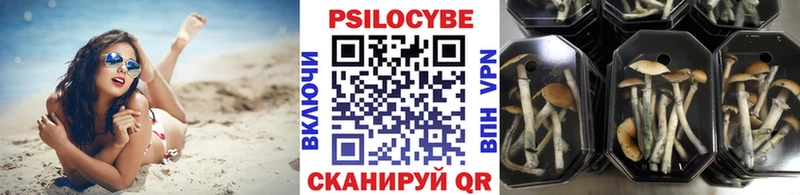 blacksprut вход  Костерёво  Псилоцибиновые грибы MAGIC MUSHROOMS 